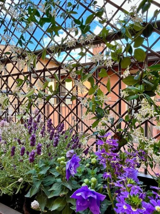 La Casa Di Nina - Appartamento 1 Valeggio sul Mincio Kültér fotó